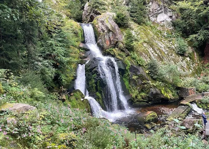 Апартаменты 2-zimmer Am Waldrand